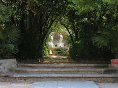 TRSTENO - Arboretum (18)